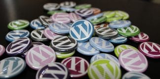 Popular Wordpress Marketplace Themes